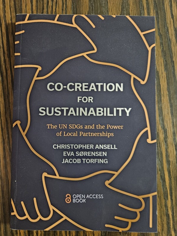 Co-Creation for Sustainability : The un SDGs and the Power of Local Partnerships