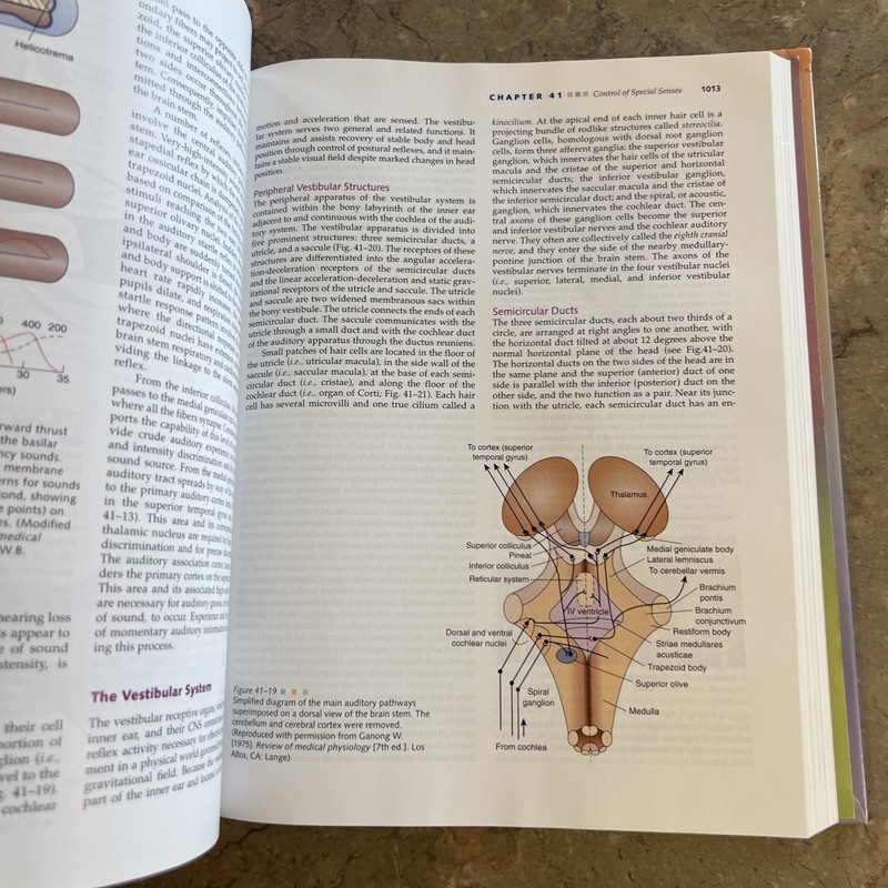 Pathophysiology: Concepts in Altered Health States 5th Edition (No Disk) gallery