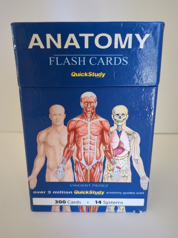 QuickStudy Anatomy Flash Cards by Vincent Perez, 300 Illustrated Laminated Cards