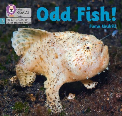 Odd Fish! by Undrill, Fiona, Like New Used, Free shipping in the US