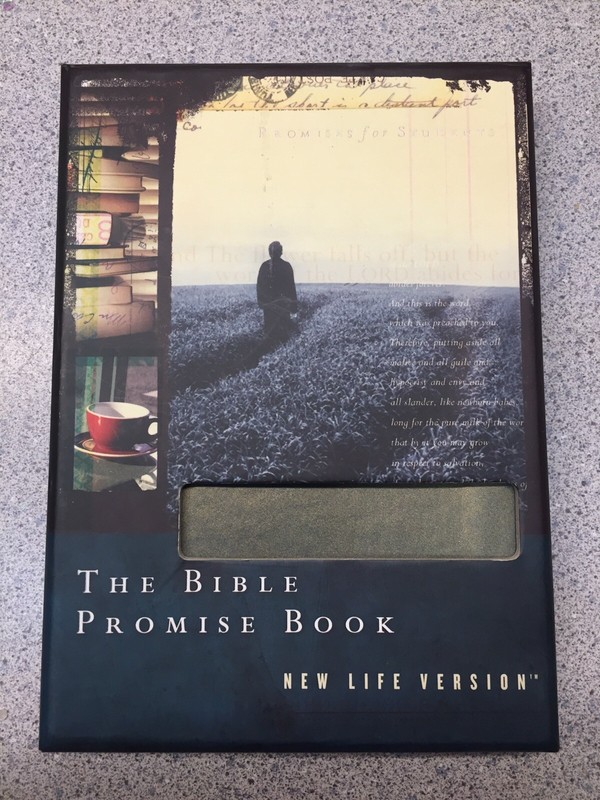 The Bible Promise Book God’s Promises For Students New Life Version