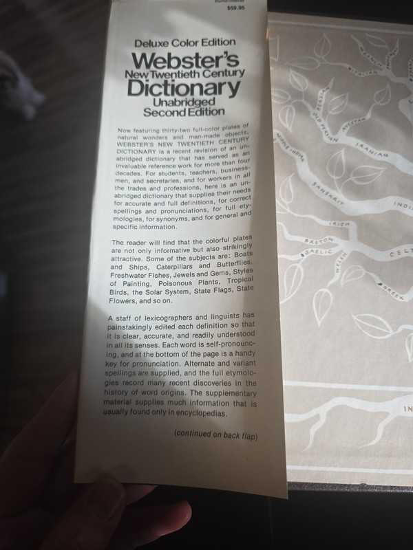 Dictionary Unabridged Second Edition Deluxe Color Websters Twentieth Century gallery
