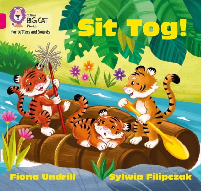 BIG CAT PHONICS FOR LETTERS & SOUNDS TIT by Fiona Undrill Paperback Self Help