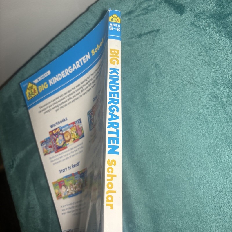 Big Kindergarten Scholar Learning Teaching Home School Book Workbook (©2022) gallery