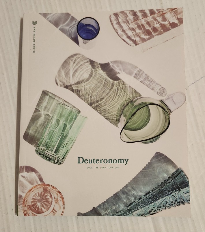She Reads Truth DEUTERONOMY Workbook Christian Study Guide Bible Scripture Jesus