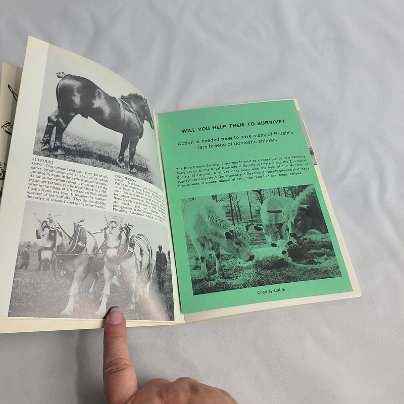 Old British Livestock Shire Album 5 - John Vince Farm Animals Vintage Paperback gallery