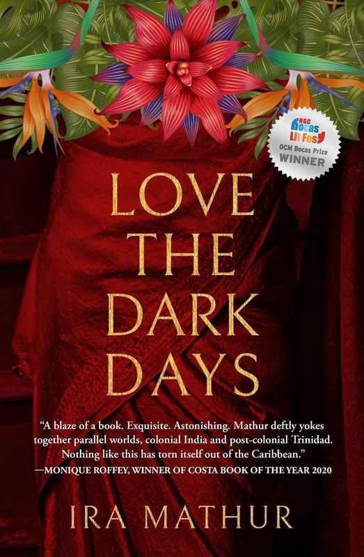 Love the Dark Days by Ira Mathur Paperback Book