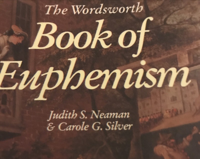 Book of Euphemism Wordsworth Reference Book Judith S Newman gallery