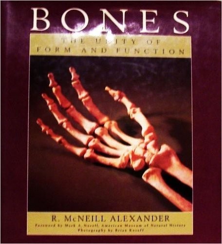 Bones: The Unity of Form and Function