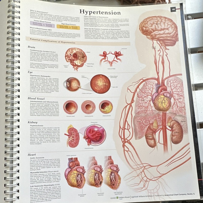 Anatomical Chart Company Anatomy & Pathology 5th Ed Ring/Wire Bound (2008) gallery