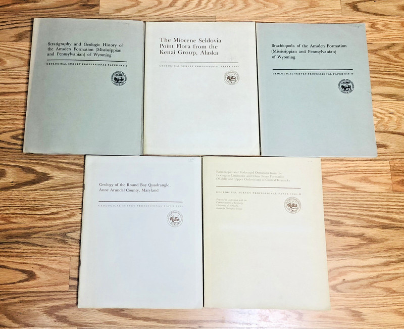 Lot United States Geological Survey Professional Paper USGS Geology Paleontology