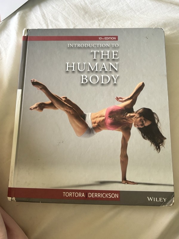 Introduction to the Human Body by Tortora, Gerard J., Derrickson, Bryan H.
