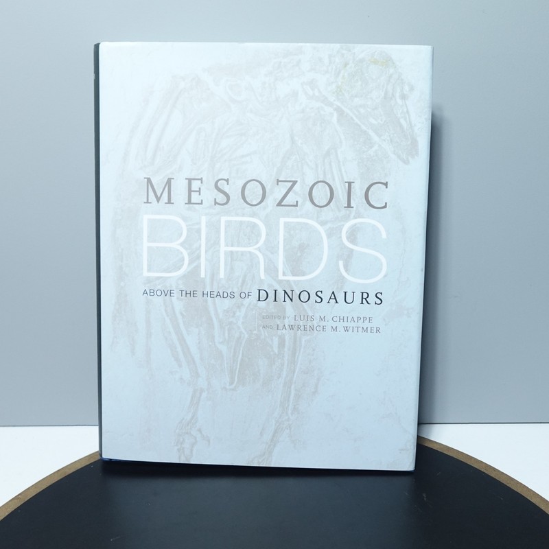 Mesozoic Birds : Above the Heads of Dinosaurs Chiappe HB book Dinosaur VGC