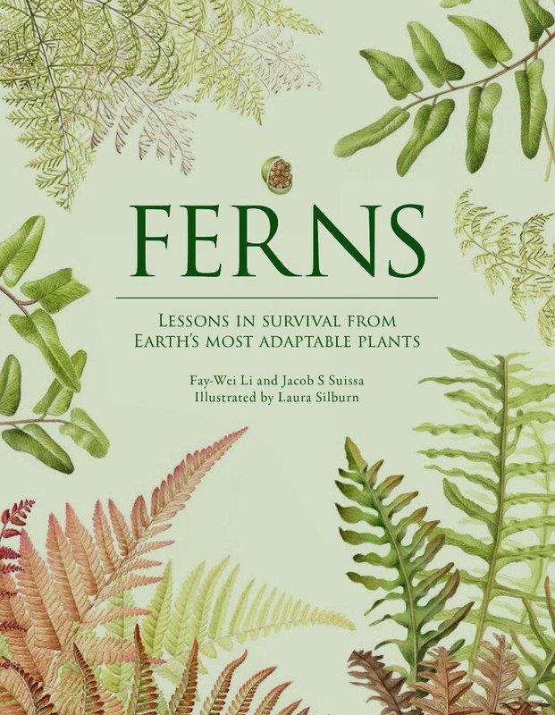 Ferns: Lessons in Survival From Earth’s Most Adaptable Plants by Fay-Wei Li Hard