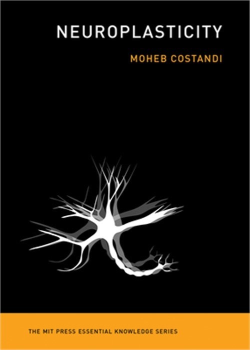 Neuroplasticity (Paperback or Softback)