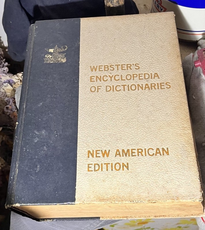 Webster’s Encyclopedia Of Dictionaries New American Edition Large Type 1978