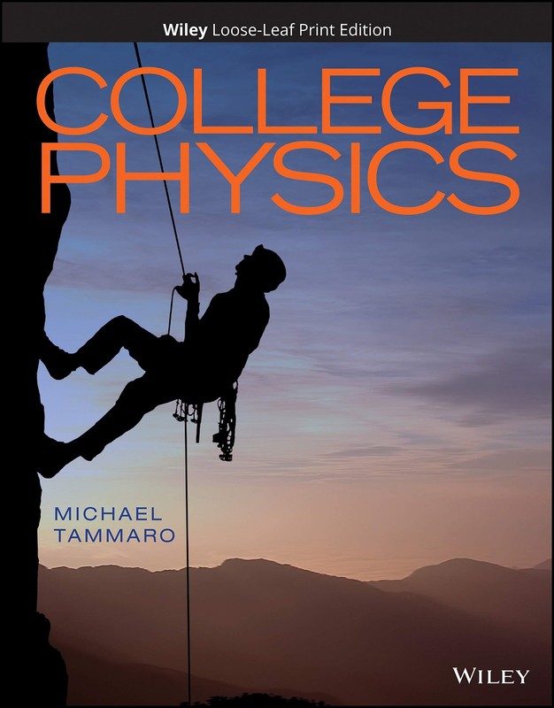 College Physics by Tammaro