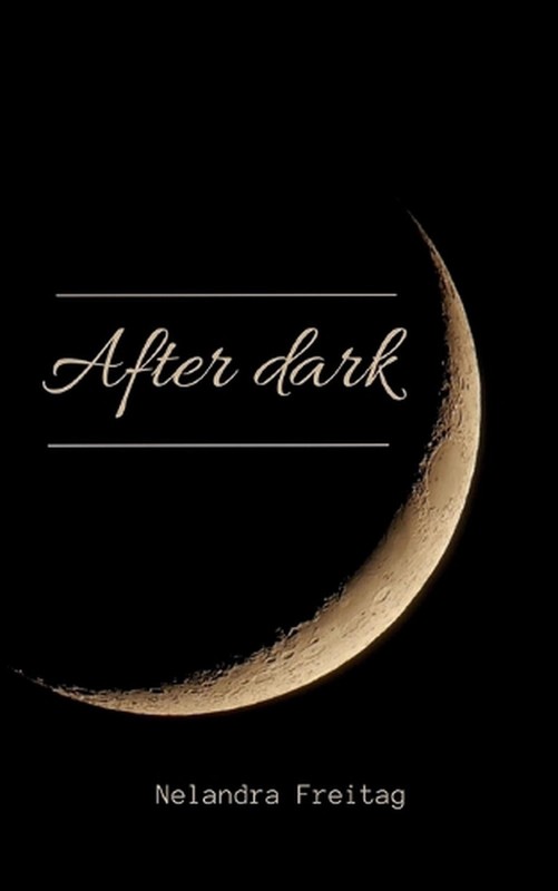 After Dark by N.F. Paperback Book