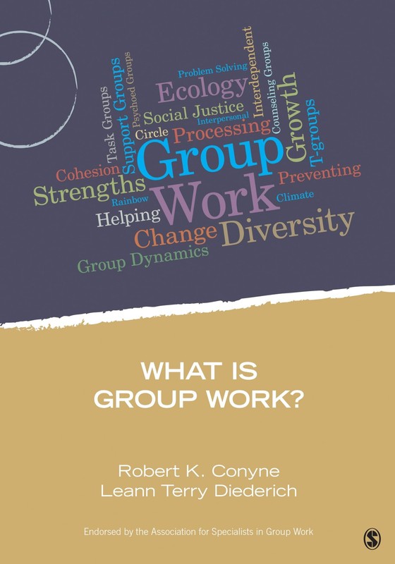 What Is Group Work? (Group Work Practice Kit) – paperback Conyne, Robert K.|…