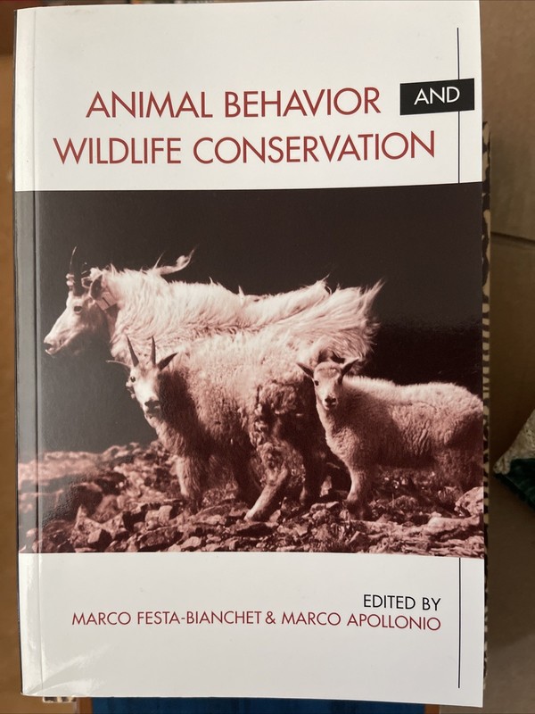 Animal Behavior and Wildlife Conservation by Marco Festa-Bianchet