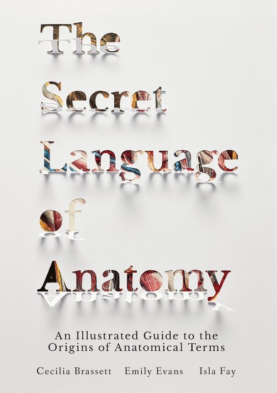 The Secret Language of Anatomy: An Illustrated Guide to the Origins of Anatomica