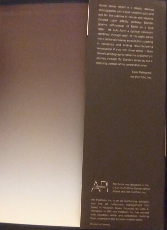 DIVIDED LIGHT - Hardcover + Dust Jacket 1st Print April 2020 Daniel James Alpert gallery