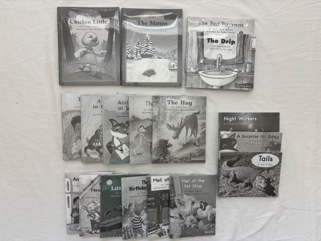 108 New Fountas & Pinnell Guided Reading Class Set Blue LLI 18 Titles Levels DE