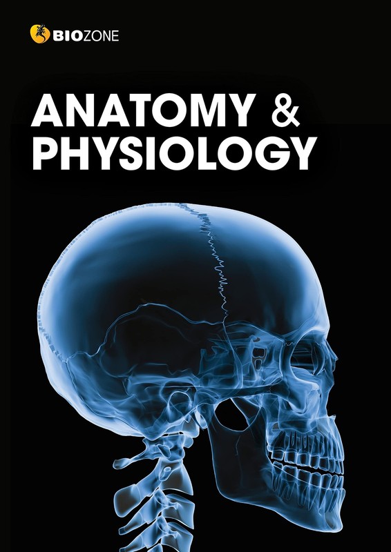 Anatomy & Physiology – Student Edition (3rd Ed)