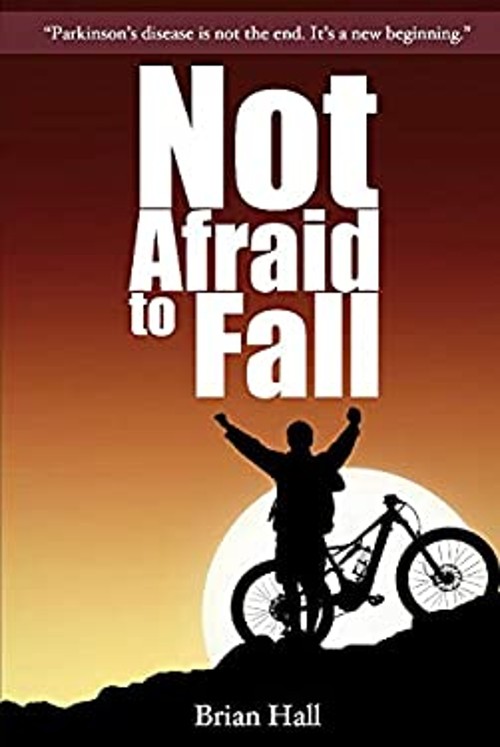 Not Afraid to Fall Paperback Brian Hall