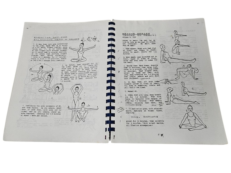 Transitions To A Heart-Centered World Through Kundalini Yoga & Meditations Yogi gallery