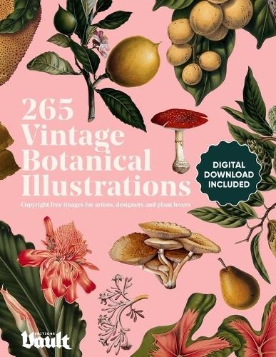 Kale James Vintage Botanical Illustration (Paperback)