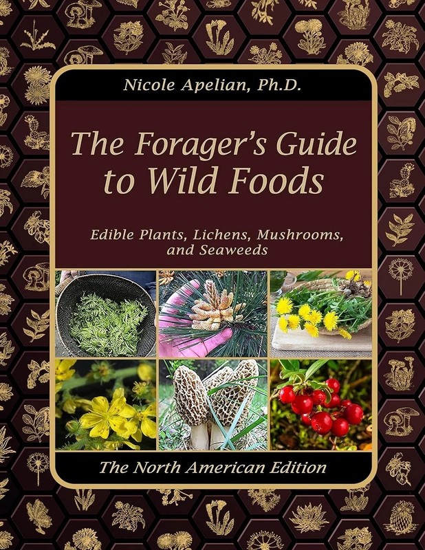 Latest Edition Barbara O'Neill Self Heal By Design Book Worldwide USA STOCK gallery