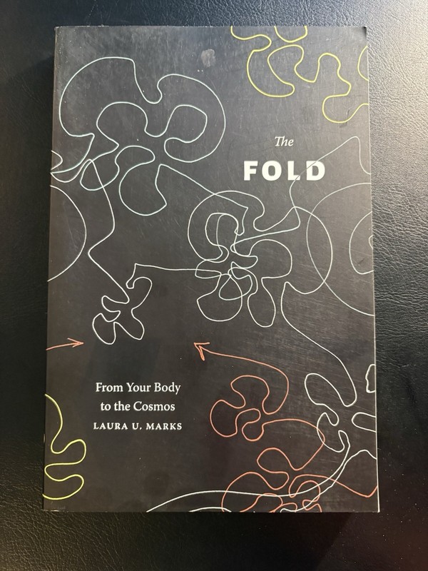 The Fold Laura U Marks 2024 PB Duke University Press Philosophy Media Studies