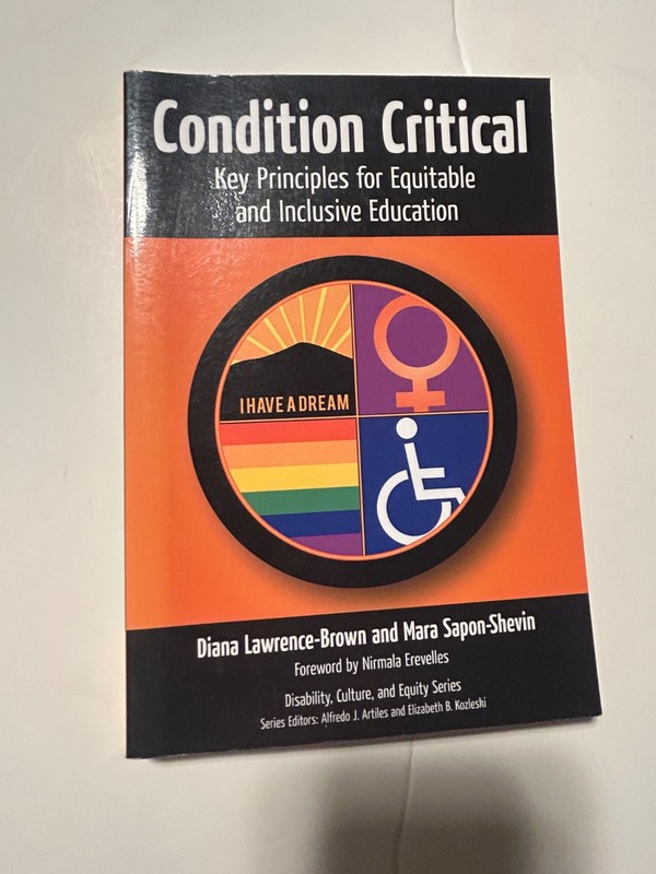 Condition Critical: Key Principles for Equitable and Inclusive Education – pbk