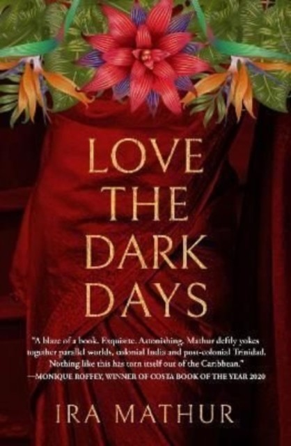LOVE THE DARK DAYS by Ira Mathur Paperback Self Help Business