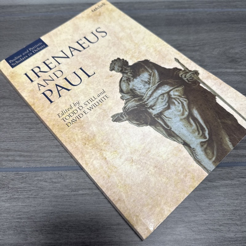 Irenaeus and Paul by Dr David E. Wilhite (English) Paperback Book