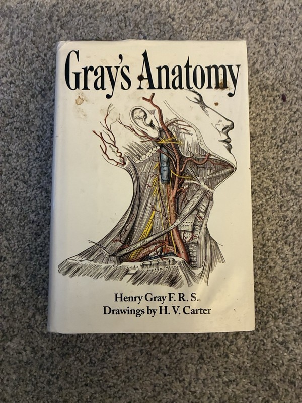 Gray’s Anatomy Henry Gray H. V. Carter 1998 Hardcover Illustrated Dust Jacket