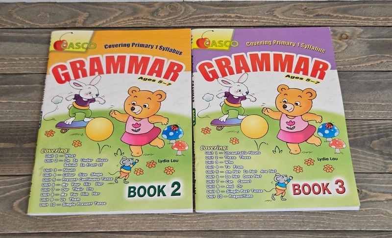 CASCO Lot (2) GRAMMAR Workbooks for Ages 5-7 -- Book 2 & 3 -- NEW - Homeschool