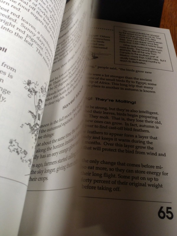 Discovering The Four Seasons Of Fun Field Field Guide To Spring Summer Autumn... gallery