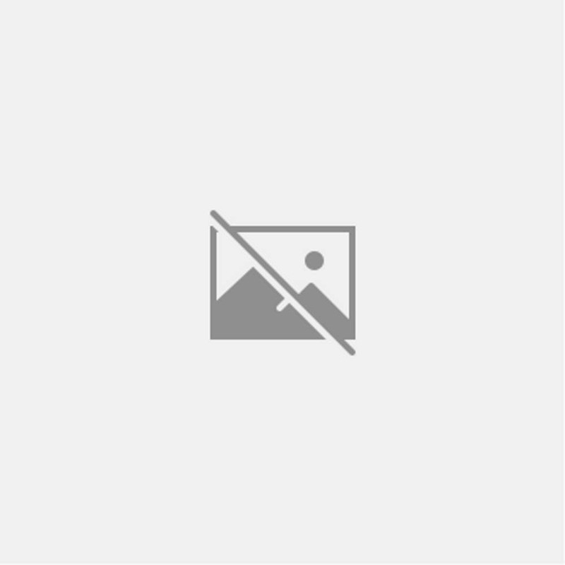 Evidence-Based Practice in Nursing: with Pageburst online access