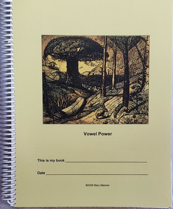 Instant Reading Help All vowel patterns plus stories; for grades 2, 3, 4
