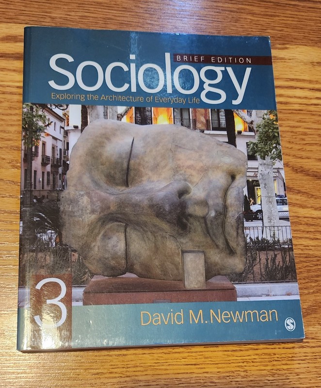 Sociology : Exploring the Architecture of Everyday Life. Brief Edition 3