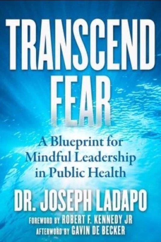 Transcend Fear: A Blueprint for Mindful Leadership in Public Health – VERY GOOD