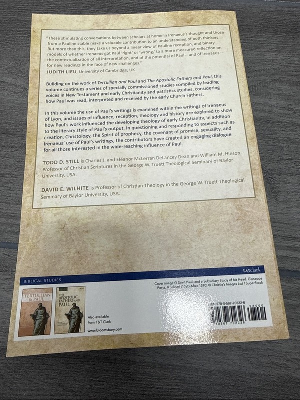 Irenaeus and Paul by Dr David E. Wilhite (English) Paperback Book gallery
