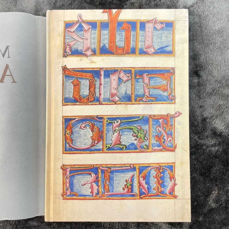 Macclesfield Alphabet A Facsimile by D. E. Hamel 2010 Hardcover EXCELLENT RARE gallery