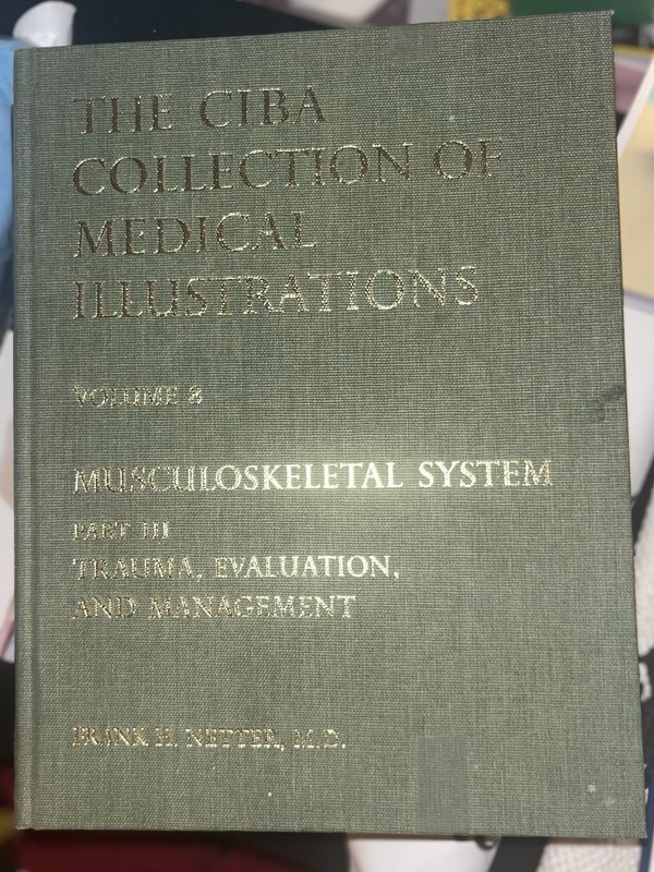 MUSCULOSKELETAL SYSTEM, PART 3: TRAUMA, EVALUATION AND By Frank Netter EXCELLENT