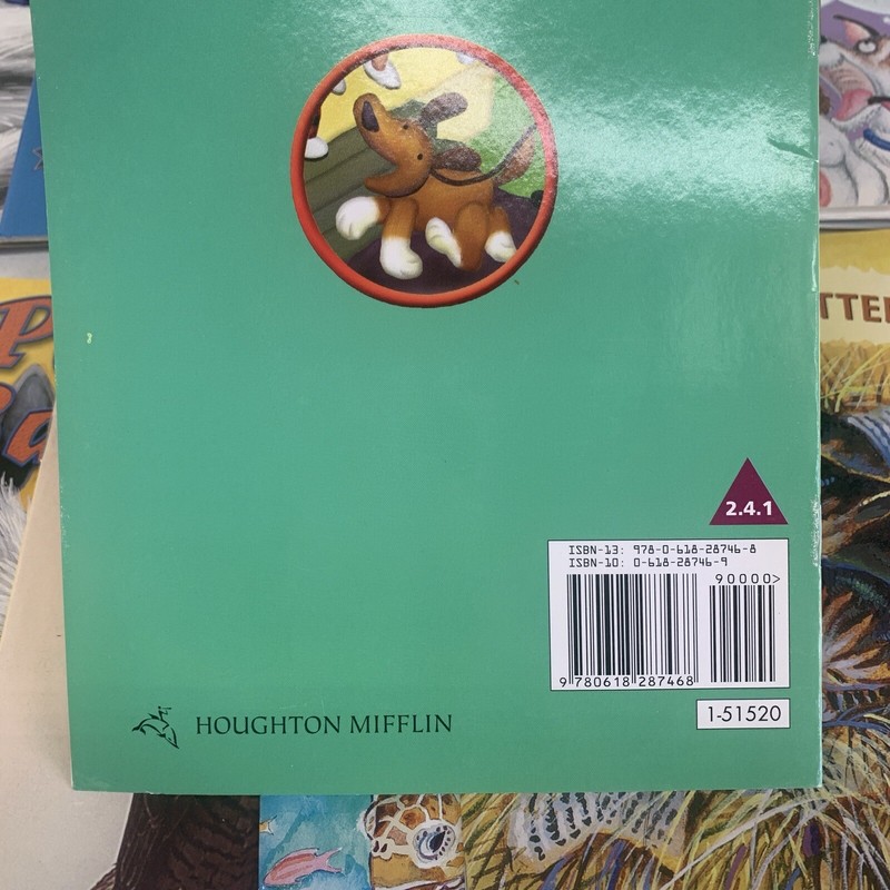 Houghton Mifflin Leveled Readers Levels 2 & 3 Lot of 31 2004 gallery