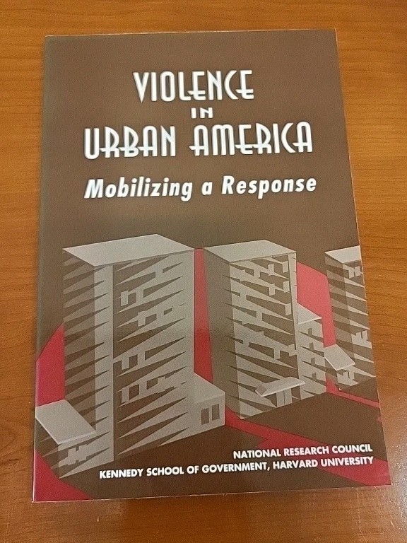 Violence In Urban America Mobilizing a Response – Trade Paperback