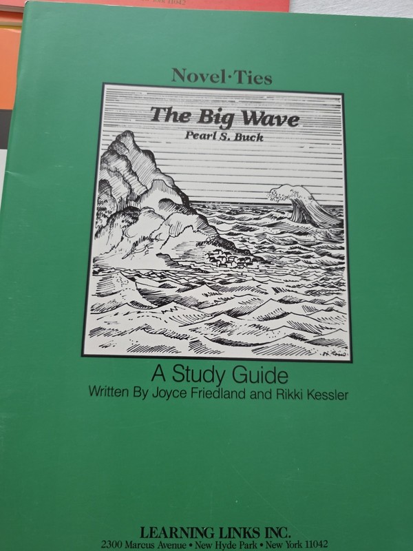Novel Ties Study Guides Homeschool Lot Of 8 Giver Fox Hatchet Big Wave Tutoring gallery