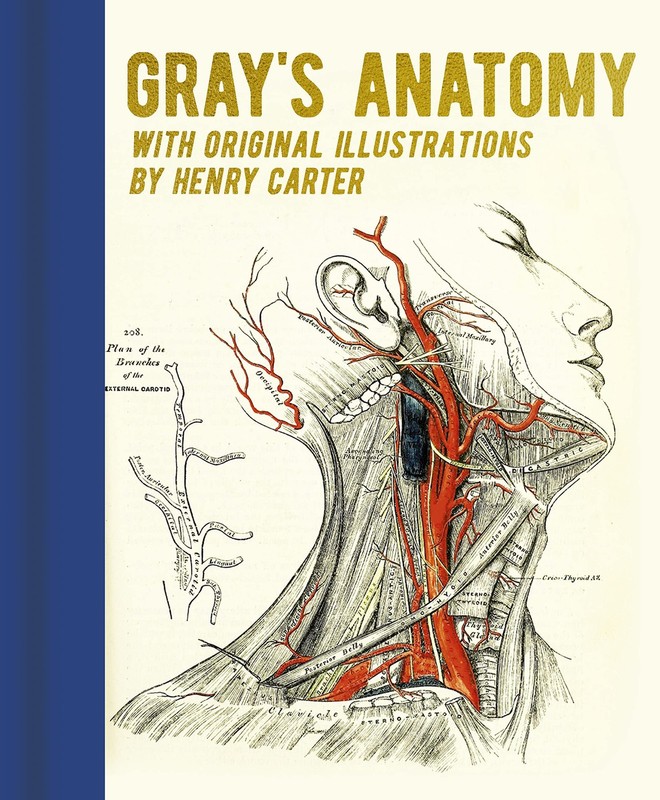 Gray’s Anatomy: With Original Illustrations by Henry Carter (Arcturus Gilded…